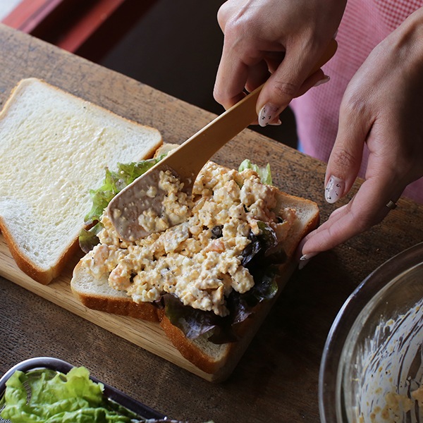 公長齋小菅 minotake 小ベラ 角 公長斎小菅