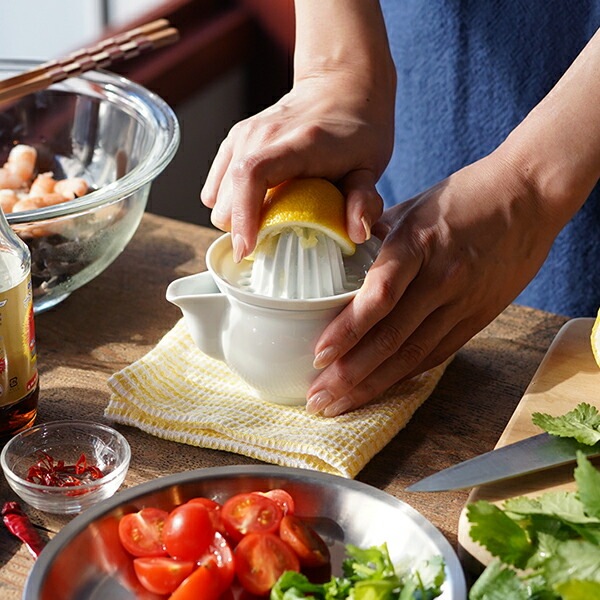 東屋 ジューサー AZKG00504 | メーカー別,あ行,東屋 | がらんどう｜手