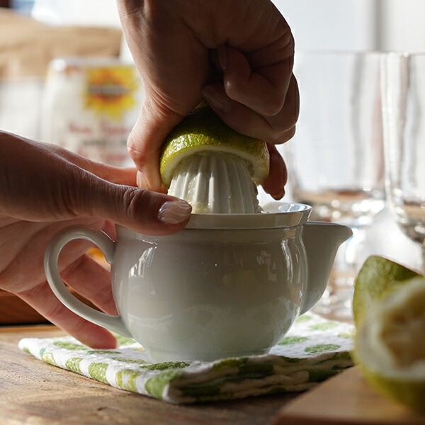 東屋 ジューサー AZKG00504 | メーカー別,あ行,東屋 | がらんどう｜手