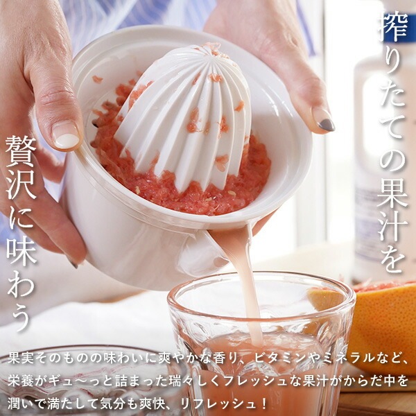 東屋 ジューサー_No.2 AZKG00505 | メーカー別,あ行,東屋 | がらんどう