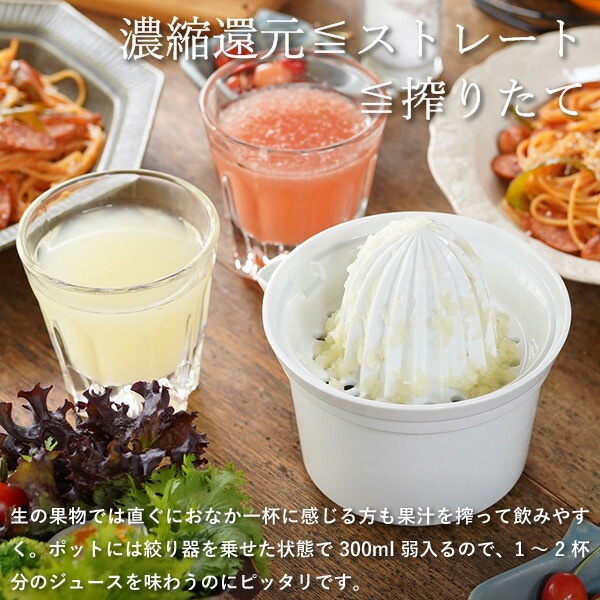 東屋 ジューサー_No.2 AZKG00505 | メーカー別,あ行,東屋 | がらんどう