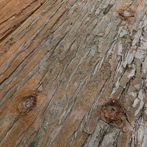 ŷ飲ܡ͢ʡ W30cm H60cm (18)