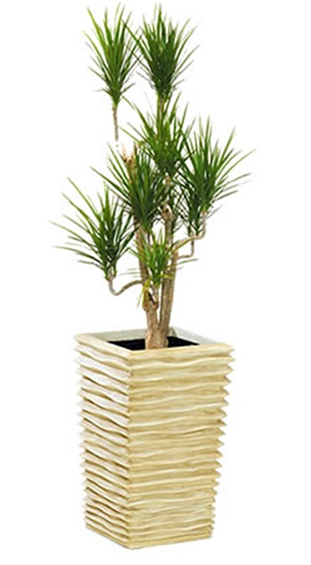 ������̵���ۡ�����Բġ�FRP�ץ�󥿡� ��������39�� W38.5cm��D38.5cm��H65cm