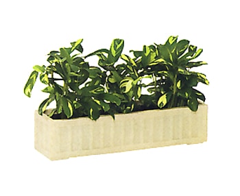 ������̵���ۡ�����Բġ�FRP�ץ�󥿡� ��ƥץ�󥿡�100��  W100cm��D45cm��H42cm