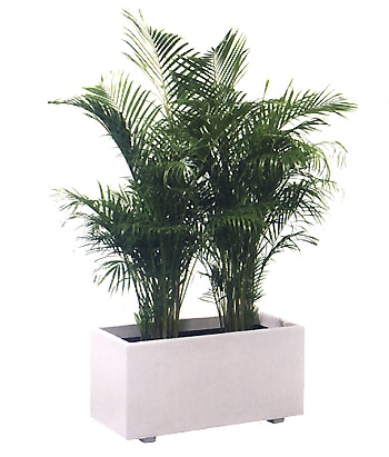 ������̵���ۡ�����Բġ�FRP�ץ�󥿡� �ۥ磻�ȥץ�󥿡� W-100��  W100cm��D45cm��H51cm