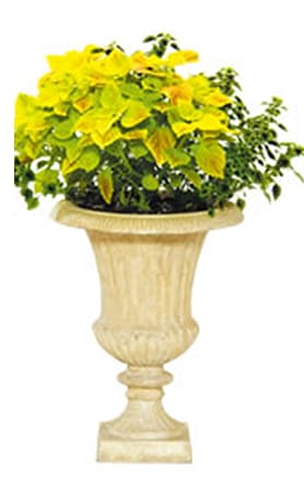 ������̵���ۡ�����Բġ�FRP�ץ�󥿡� A���å�58��  ��58cm��H76cm