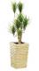 ������̵���ۡ�����Բġ�FRP�ץ�󥿡� ��������39�� W38.5cm��D38.5cm��H65cm
