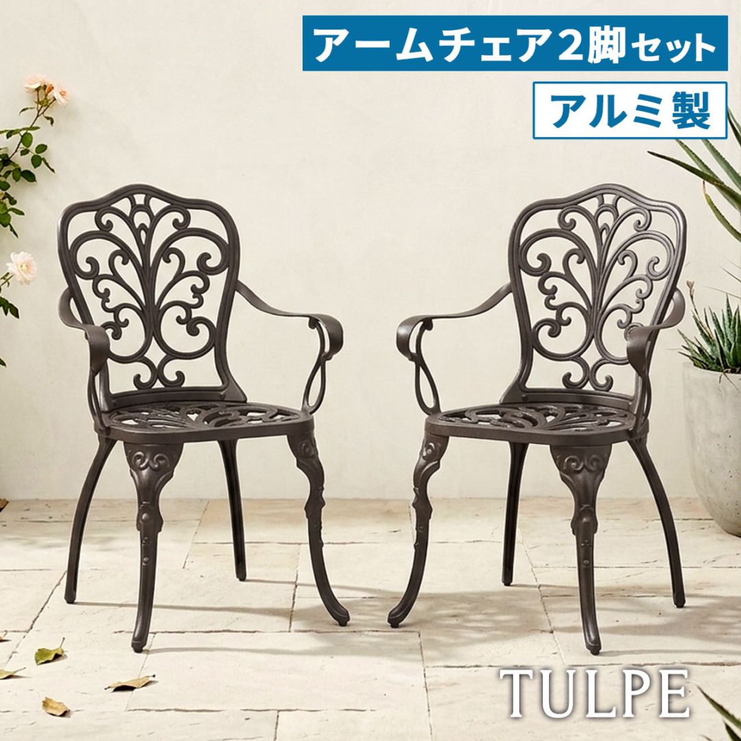 アルミ製アームチェア 2脚セット 「トルペ」 BKS-C5289-2P
