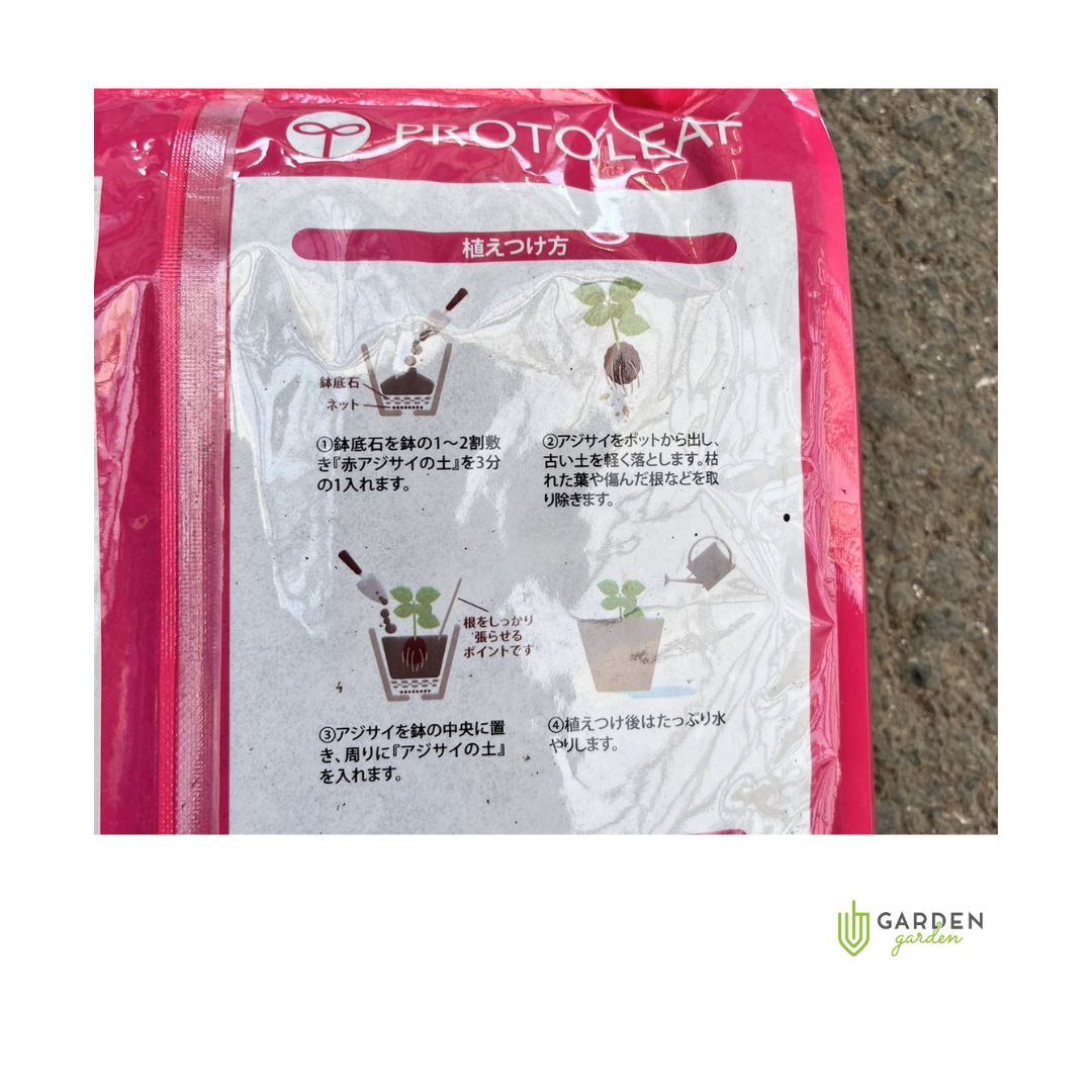 専用ページ　アサ EM乾燥アーサ(あおさ)