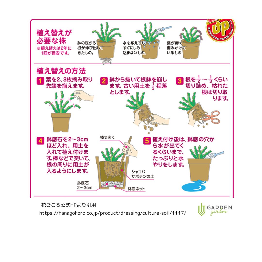 シャコバサボテンの土 5L|ガーデンガーデン|花苗や観葉植物の通販を