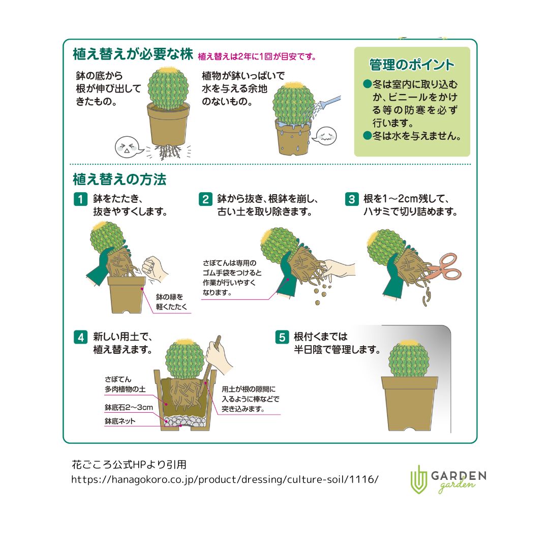 さぼてん多肉植物の土 10L|ガーデンガーデン|花苗や観葉植物の通販