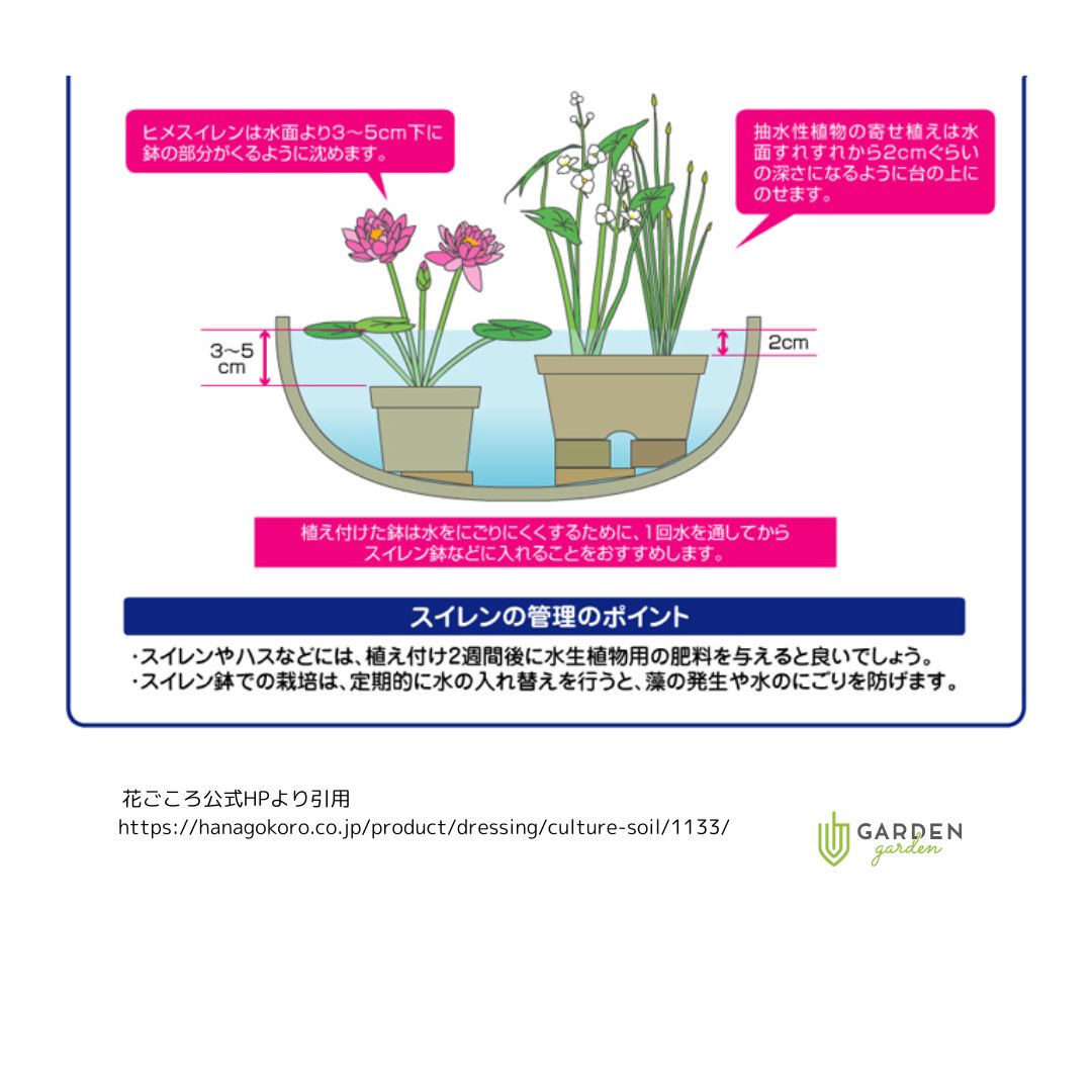 水生植物の土 5L|ガーデンガーデン|花苗や観葉植物の通販を行う豊橋の