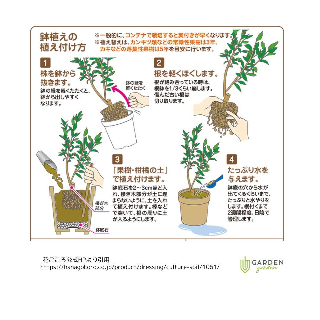 果樹・柑橘の土 12L|ガーデンガーデン|花苗や観葉植物の通販を行う