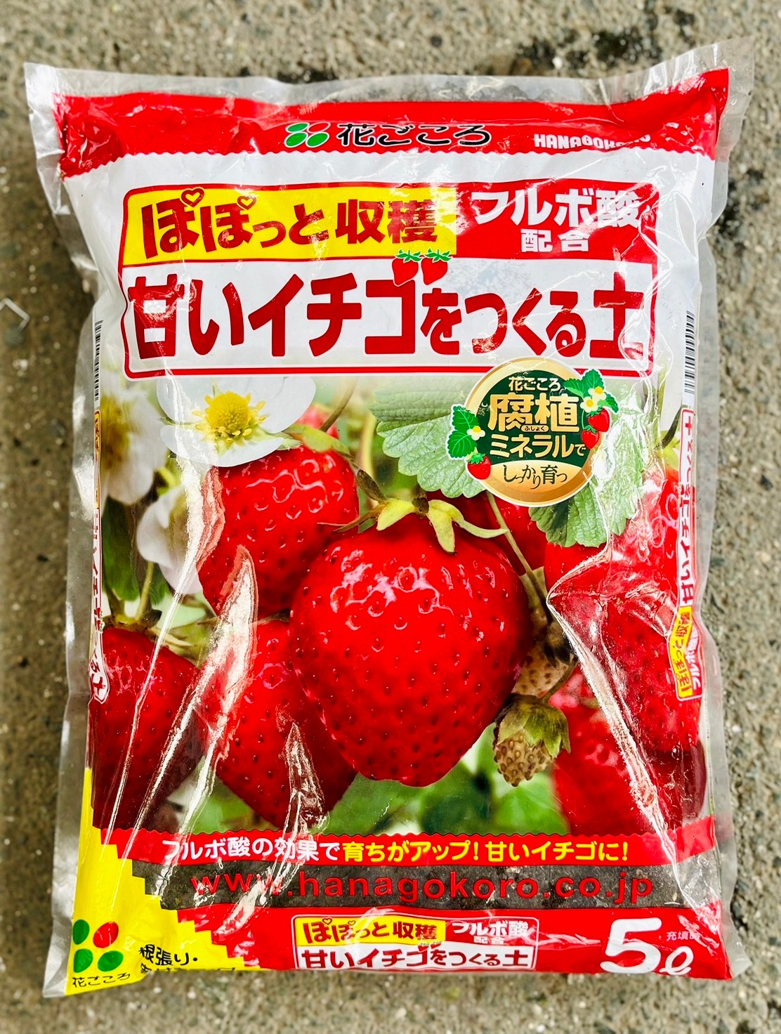 いちごさま専用　7と8 いちご様専用 【公式通販】