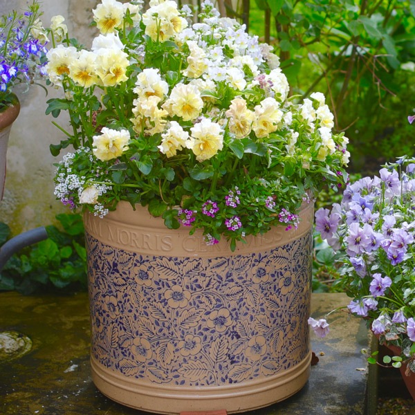 ウィリアム モリス】フローラルシリンダー24 可愛い 植木鉢 緑