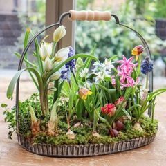 ����饤���å��󡧵庬���ƿ���A��B��