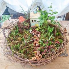 ����饤���å��󡧡�Ļ�������ɵ庬�Ǻ��ֻ�ο��ס�C��