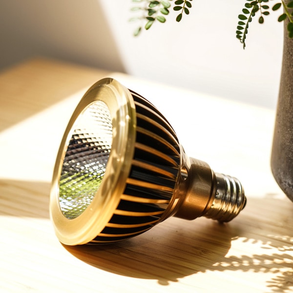 新品 TSUKUYOMI 10W ゴールド 2個セット