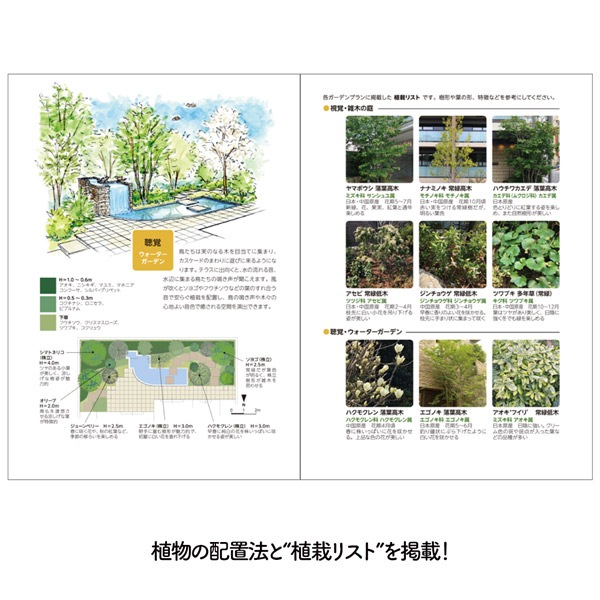 ����ܥ������ƥꥢ�������ǥ�ο��ȥǥ����󡦲Ȥ�����ȡ�����˥����ǥ��͡���