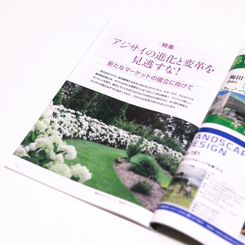 ꡼ 2025ǯ3