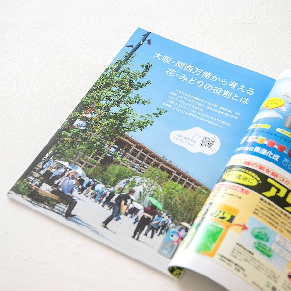 ���꡼����� 2025ǯ7���