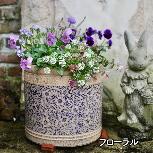 �����ꥢ�ࡦ��ꥹ���ο���ȭ��4���������åȡ�