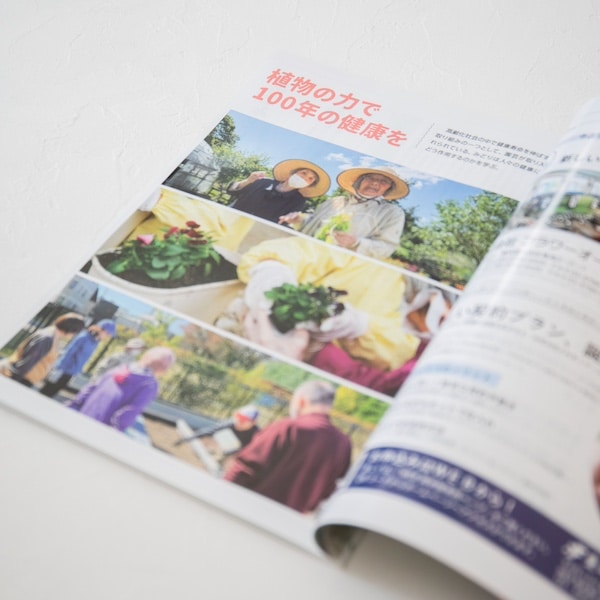 ���꡼����� 2026ǯ1���