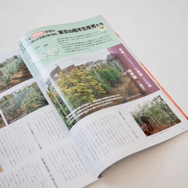 ���꡼����� 2026ǯ1���