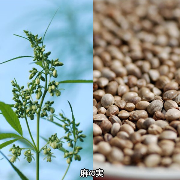 �إ�ץ����ס�MOONSOAP�ۢ�ŷ���Ǻ�100�󡢹���������ʬ�Ի��ѡ�������ɥץ�������ˡ