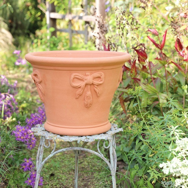 ٥ݥå åեɡݥ꡼ ȭ