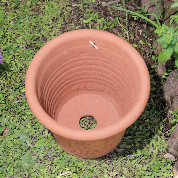 ӥݥå åեɡݥ꡼ ȭ