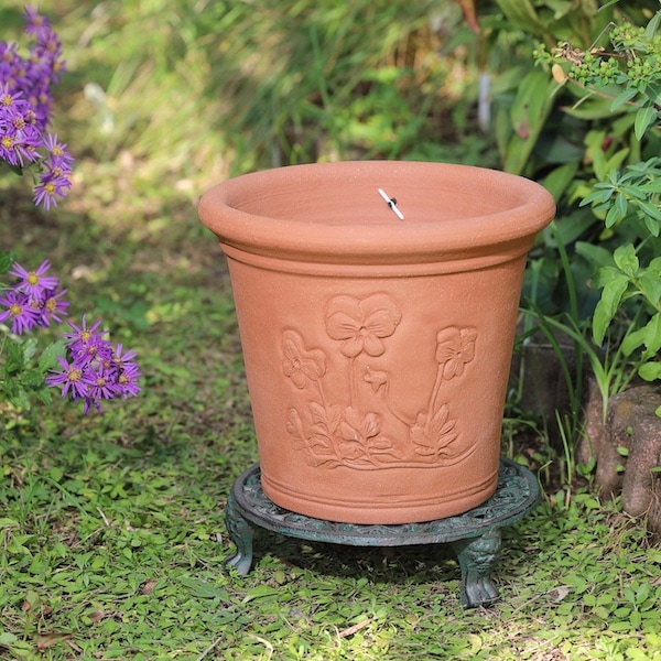 ӥݥå åեɡݥ꡼ ȭ