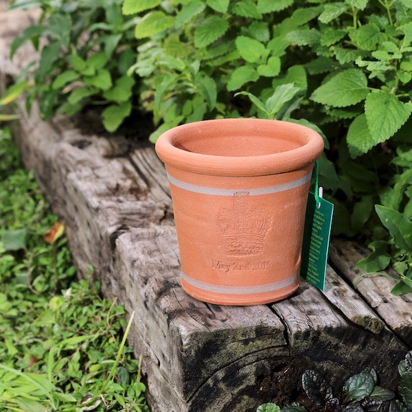 ٥ӡݥå åեɡݥ꡼ ȭ