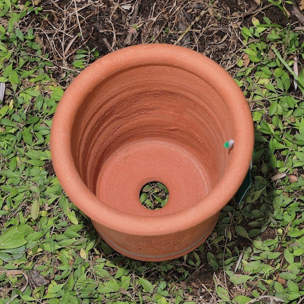 ٥ӡݥå åեɡݥ꡼ ȭ