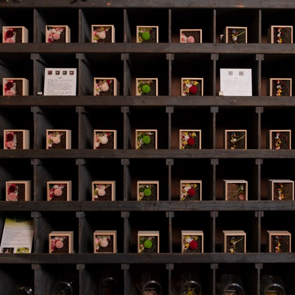 Ȣ²ָ֡ʪ_ȤΥեȥåȡ² Ա