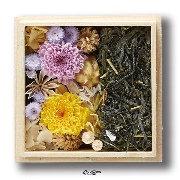 Ȣ²ָ֡ʪ_ȤΥեȥåȡ² Ա