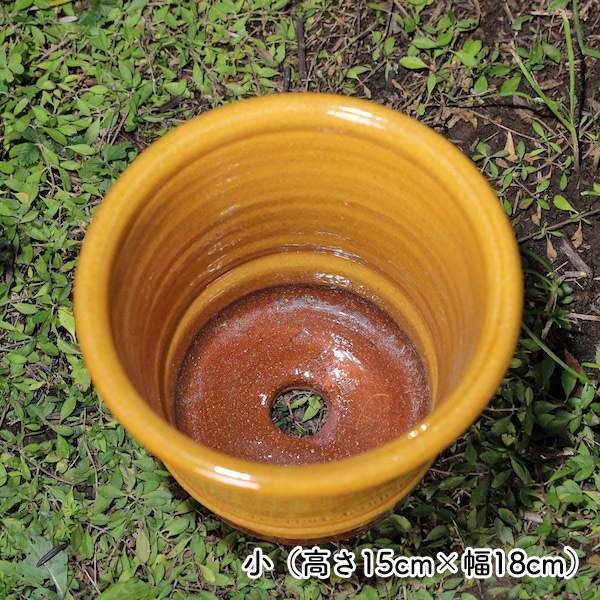 Хݥåȡڥϥˡۥåեɡݥ꡼ ɤȭ