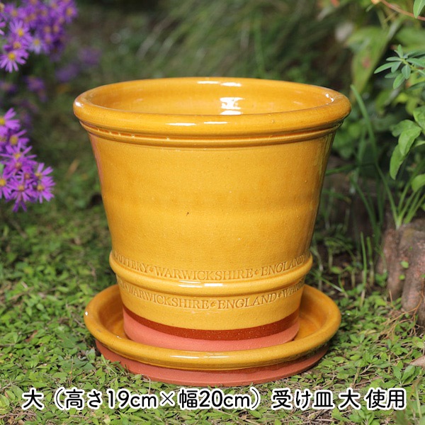 Хݥåȡڥϥˡۥåեɡݥ꡼ ɤȭ