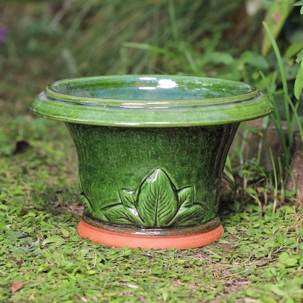 ߥ˥ۥݥåȡڥ⥹ åեɡݥ꡼ ɤȭ