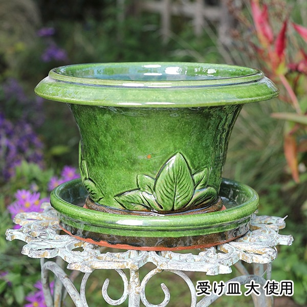 ߥ˥ۥݥåȡڥ⥹ åեɡݥ꡼ ɤȭ