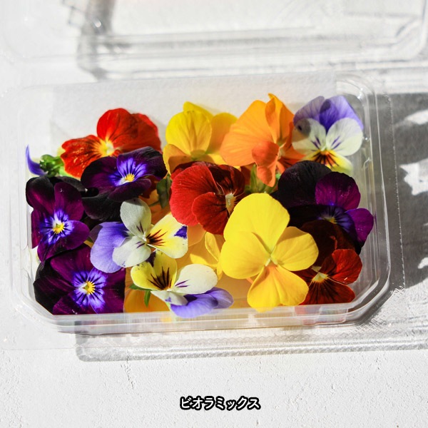 ̵ǥ֥ե20إѥå ̸