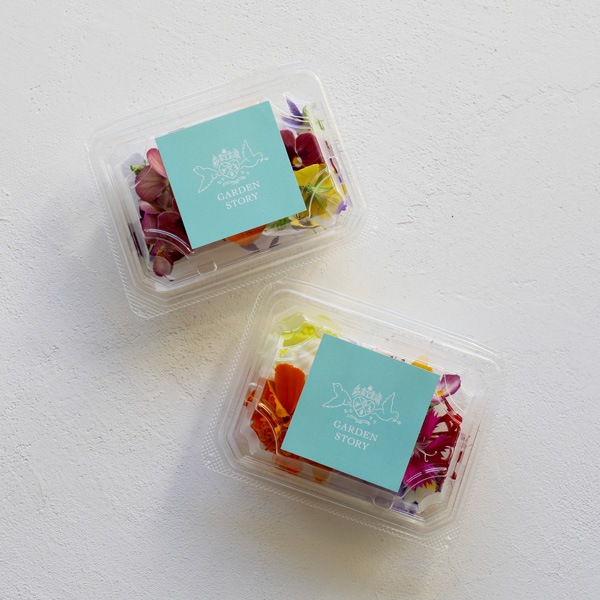 ̵ǥ֥ե20إѥå ̸