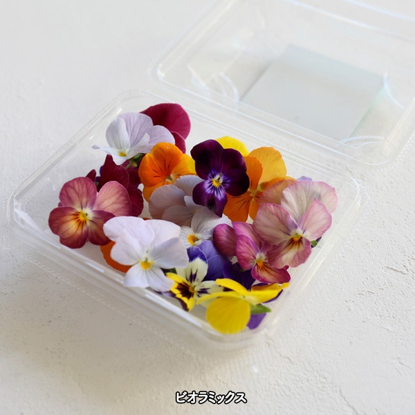 ̵ǥ֥ե20إѥå ̸