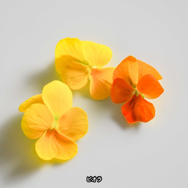 ̵ǥ֥ե20إѥå ̸