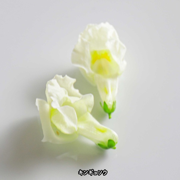 ̵ǥ֥ե20إѥå ̸