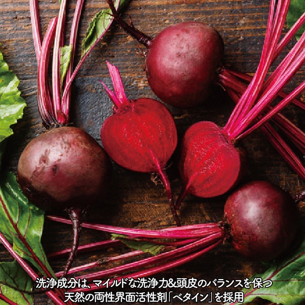 ˥åסǥʡ2浪ѥåȡPIANTE FELICIʥԥƥե꡼ˡ