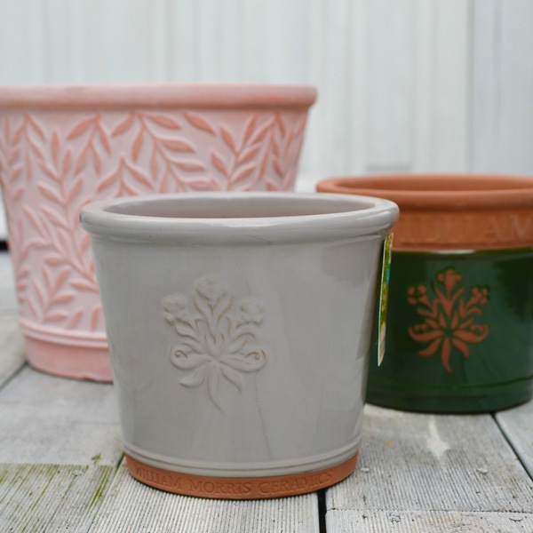 ꥢࡦꥹοȭڥ졼ƥ饳å