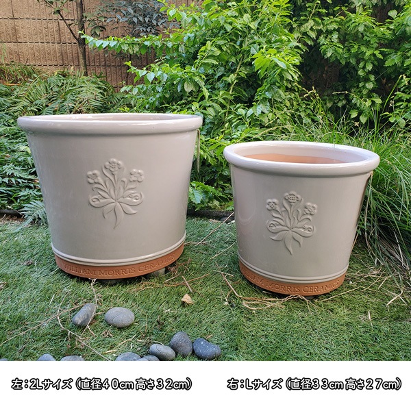 ꥢࡦꥹοȭڥ졼ƥ饳å