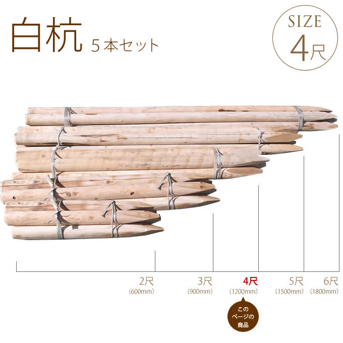白杭 長さ4尺(約120cm) 直径6cm 5本セット 木杭 天然固定 支柱 /木製