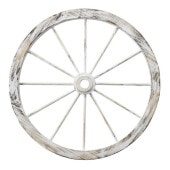 طʥȡľ50cm ƥʪ/졡/ǥץ쥤/åץǥ/ۥ뷿/ǥ/ǥ˥/ƥꥢ/